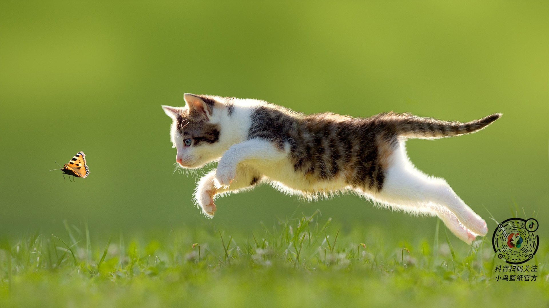 腾讯强化电竞赛事运营能力,哪些赛事是腾讯电竞举办的