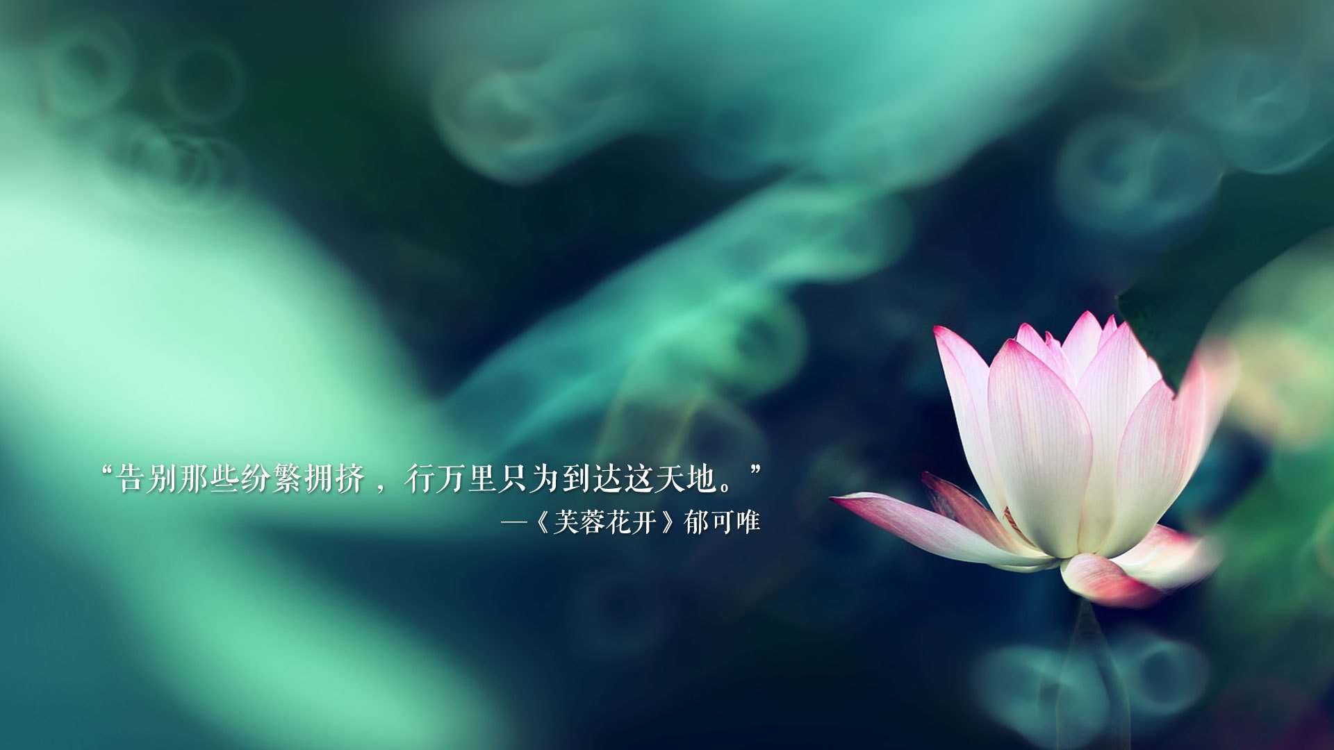 im电竞app官网-阿尔巴尼亚队力挫欧洲国家联赛对手，取得胜利，阿尔巴尼亚杯