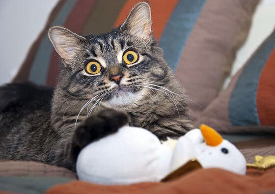 IM体育 APP下载地址-维拉中场推进快速拉开空间制造机会，维拉villa