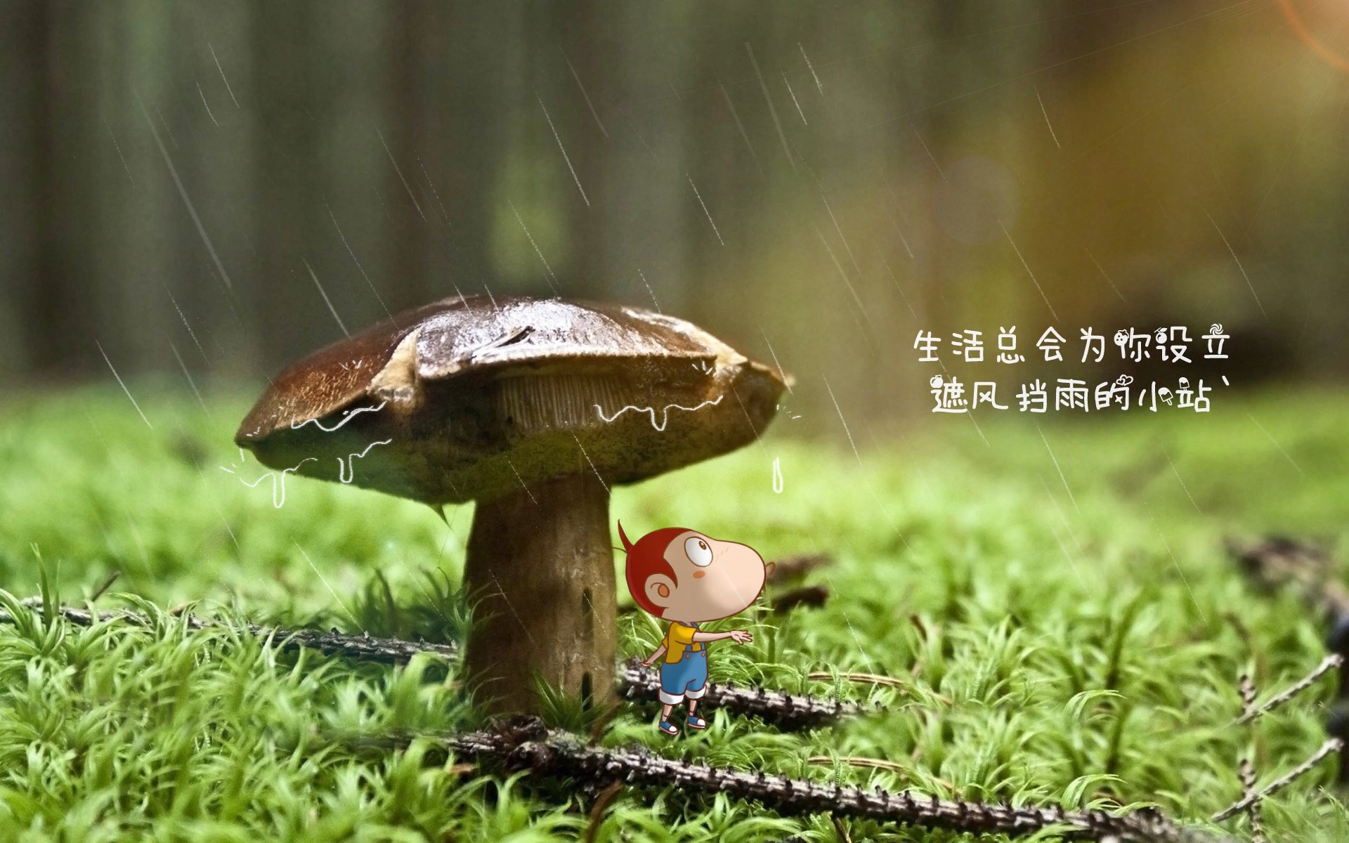 im体育官网登录-巴西豪门弗拉门戈本赛季表现稳健，攻防两端俱佳