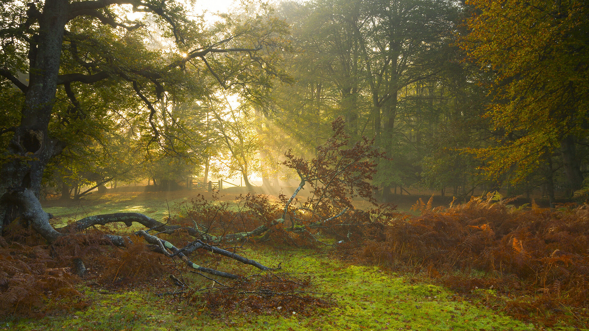 im体育网站-特色足球文化街区成为城市新地标，展现地域特色，足球文化长廊