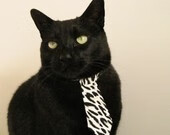 王楚钦晒童年照片庆祝生日快乐,王楚钦多少岁了